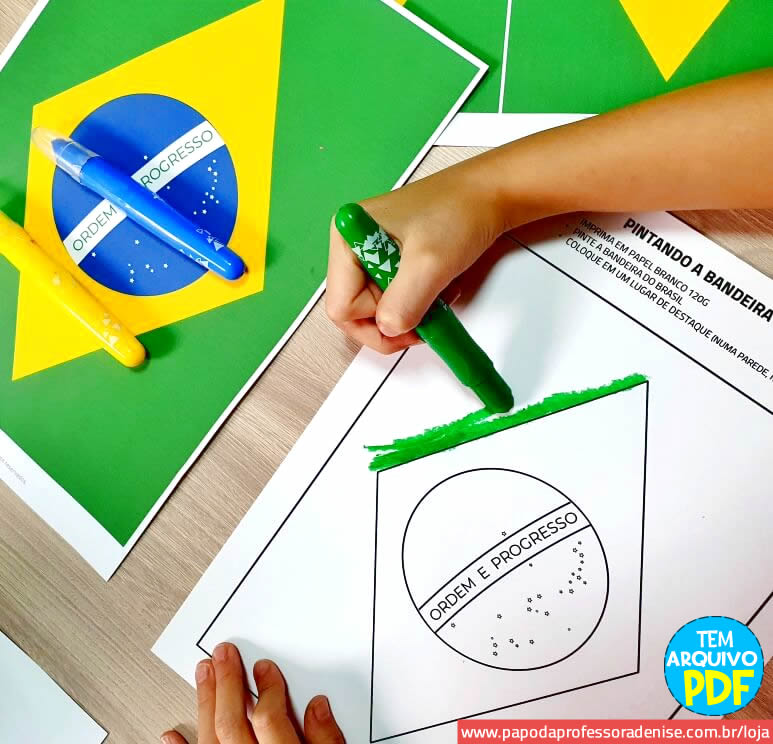 bandeira do brasil para colorir grande