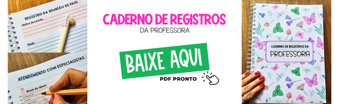 Caderno de Registros da Professora
